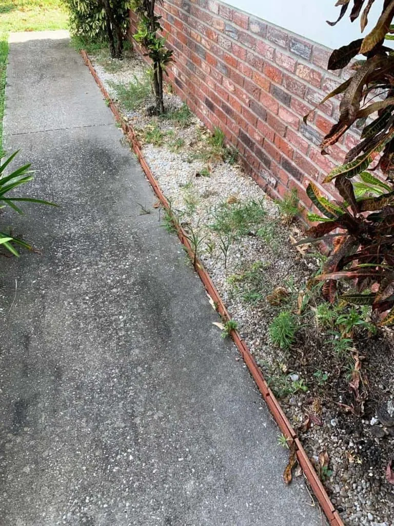 Sidewalk with weeds