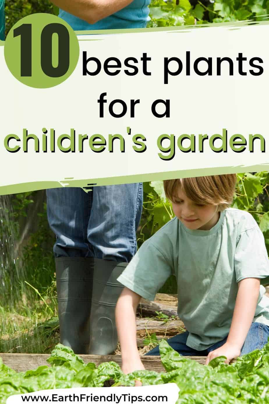 Boy digging in garden text overlay 10 Best Plants for a Children's Garden