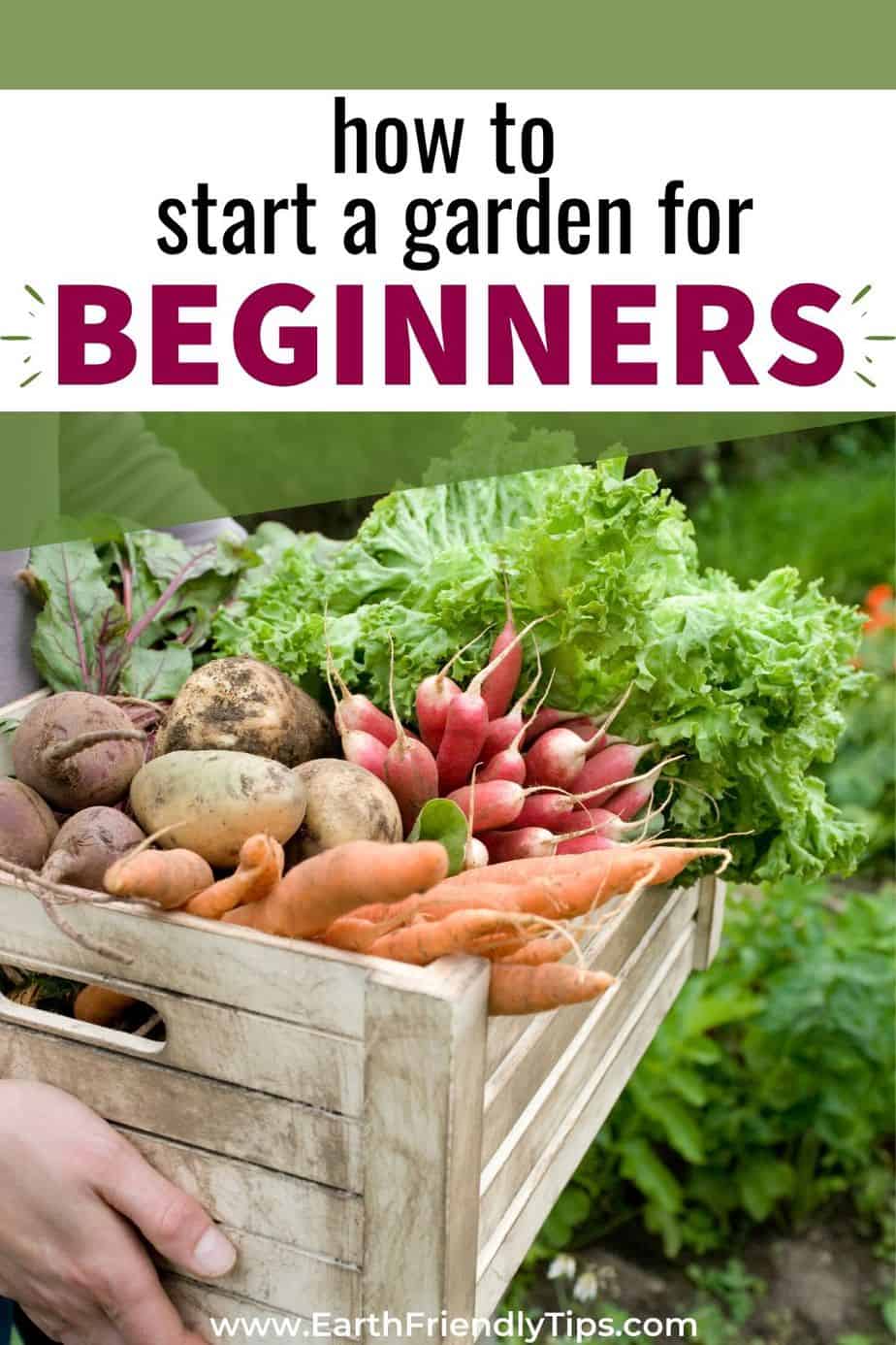Box of vegetables text overlay How to Start a Garden for Beginners