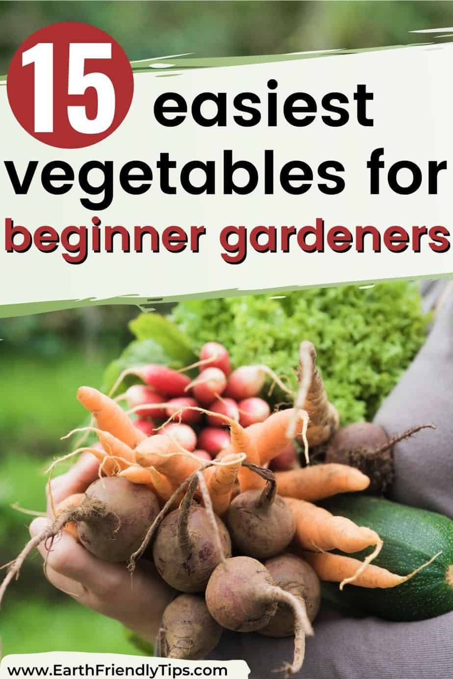 Woman holding vegetables text overlay 15 Easiest Vegetables for Beginner Gardeners