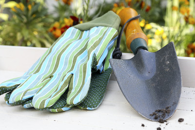 Gardening gloves and small gardening shovel