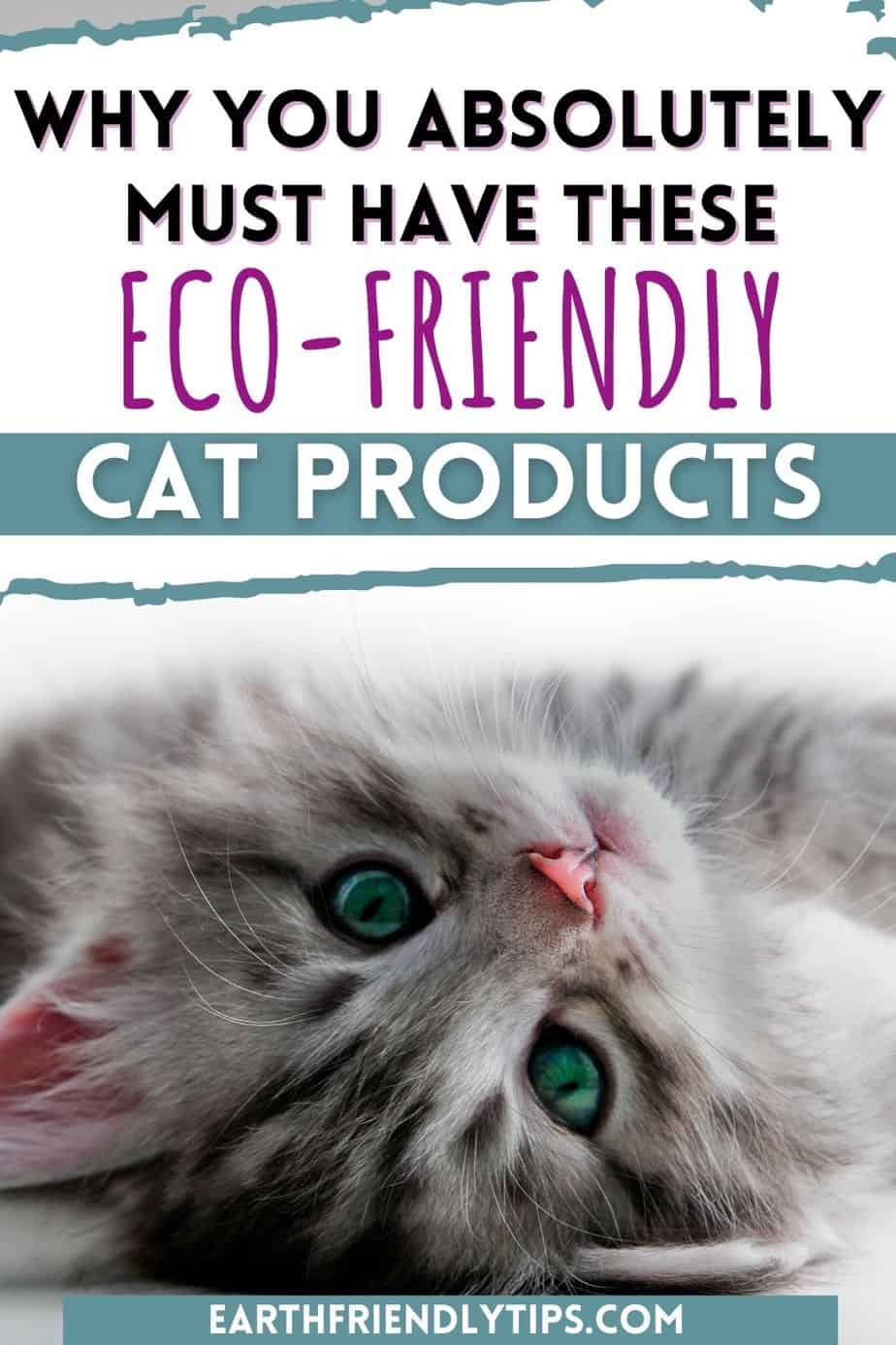 Picture of cute kitten looking at camera with text overlay Why You Absolutely Must Have These Eco-Friendly Cat Products