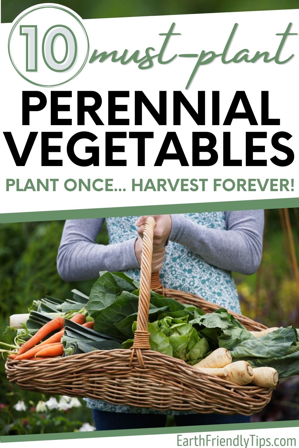 Picture of woman holding basket of garden vegetables with text overlat 10 Must-Plant Perennial Vegetables Plant Once... Harvest Forever