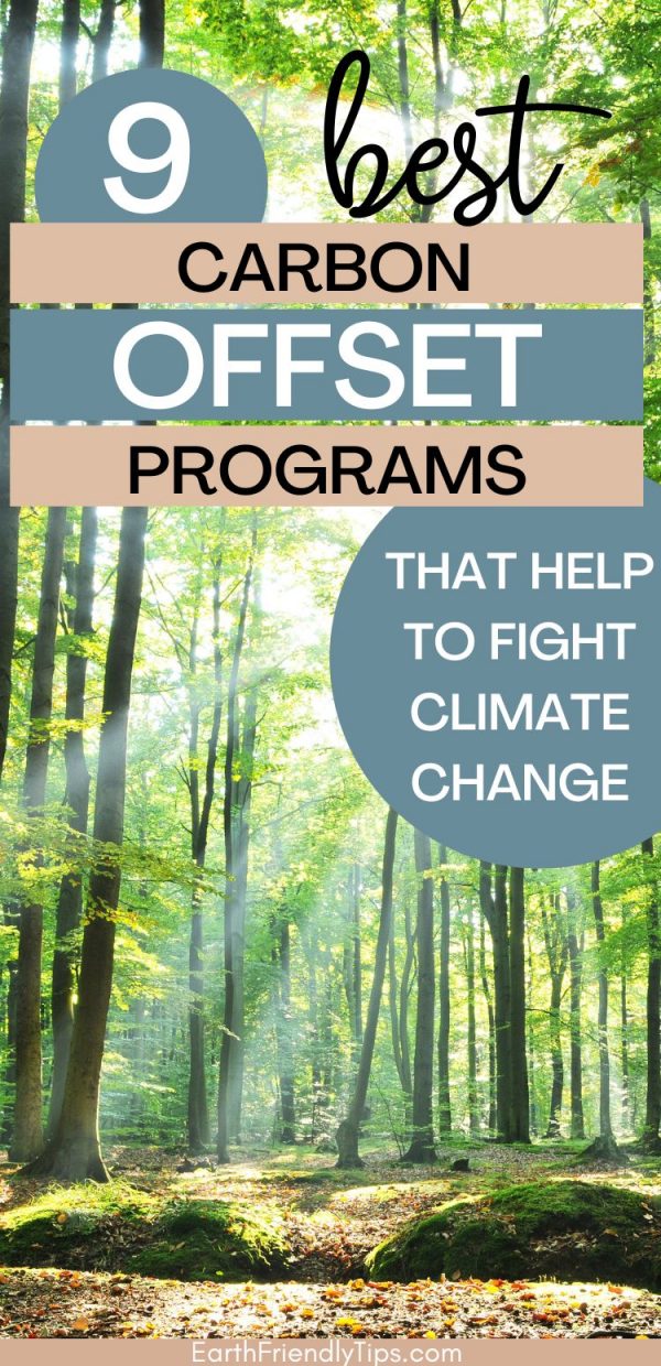 Best Carbon Offset Programs of 2026 - Earth Friendly Tips