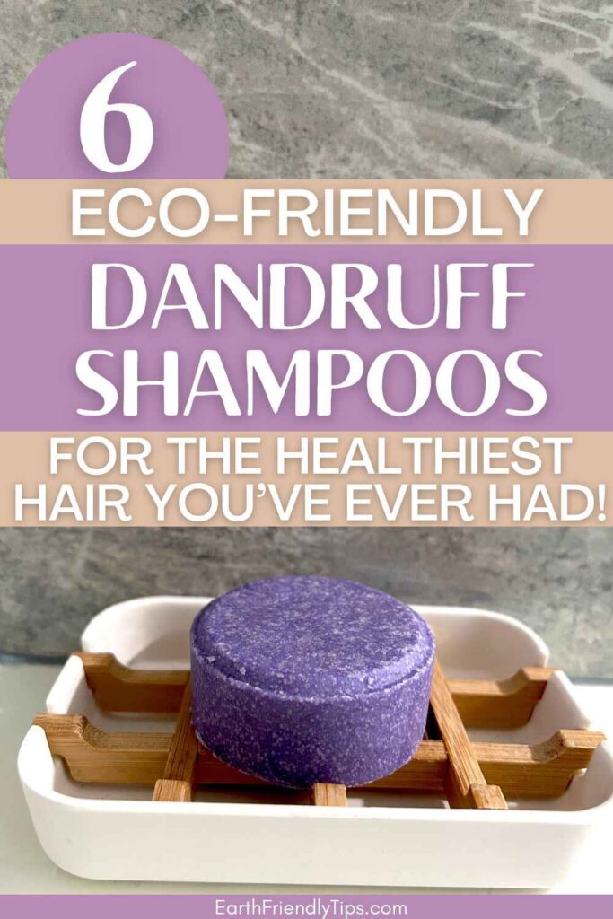 Picture of purple shampoo bar in soap dish with text overlay 6 Eco-Friendly Dandruff Shampoos for the Healthiest Hair You've Ever Had!