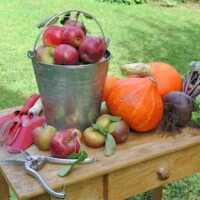 Fall garden vegetables displayed on a table outside