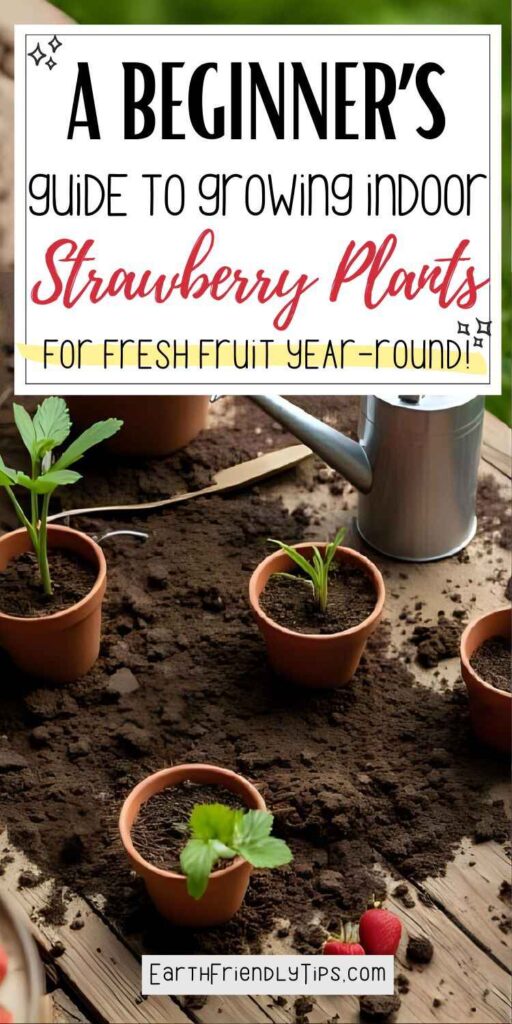 Picture of an indoor gardening scene featuring several small terracotta pots with young strawberry plants with text overlay A Beginner's Guide to Growing Indoor Strawberry Plants for Fresh Fruit Year-Round!
