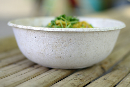 Biodegradable foam with noodle