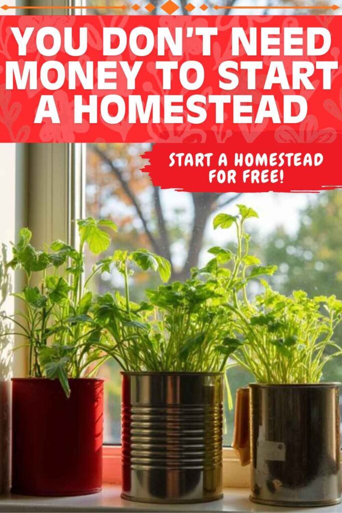Picture of several plants growing in reused cans in a windowsill with text overlay You Don't Need Money to Start a Homestead Start a Homestead for Free!