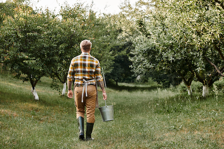 Man walking through homestead orchard
